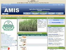 Tablet Screenshot of amis.pk